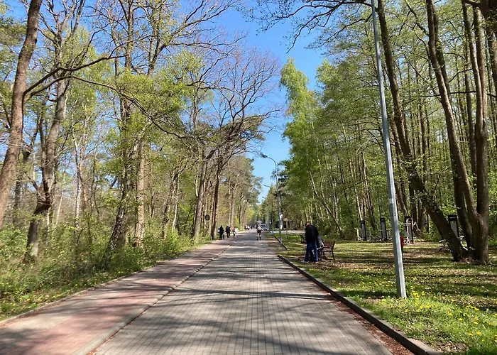 Lodge Letniskowe Promyk *